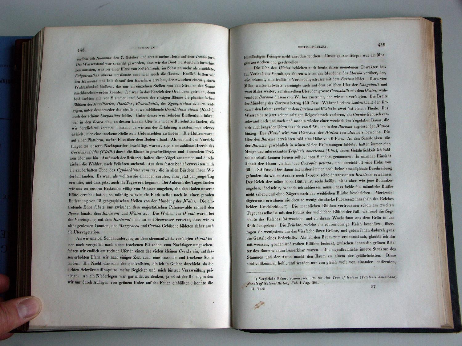 ZZ-RISC48,S.448 7.Oktober am Rio Waini Warrau am Rio Waiwa Akawai